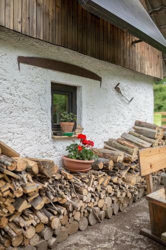 Bohinj House Lizina Hi?ka