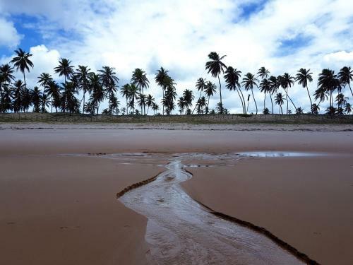 Apartamento Rosagash Paradise - Praia de Santo Antonio