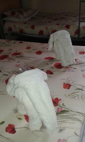 Hostal Seasons 24 Guest House