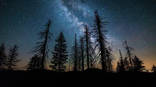 Resort Biela Skala - Chalet