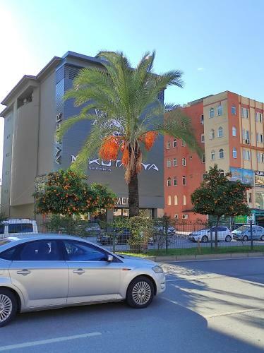 Manolya Apartment. Alanya, Center