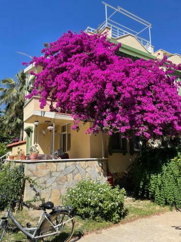 Villa Konak Club