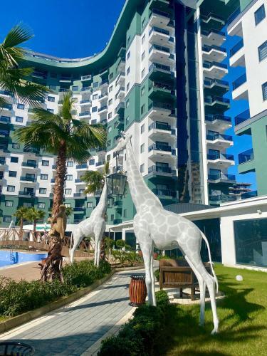 Apartamento Serenity Residence 2 ??????? ??????????? ? ??????????????? 5 ?????
