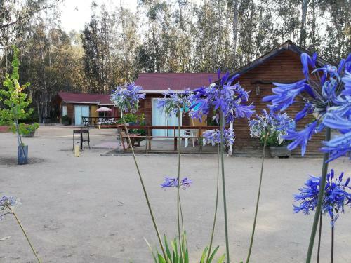 Caba�as F90 Algarrobo
