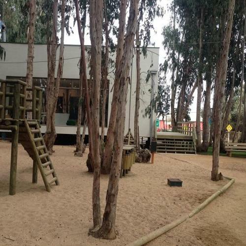 Apartamento Departamento Algarrobo Norte