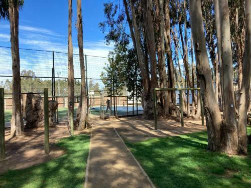 Apartamento Depto En Costa Algarrobo Norte Con Wifi