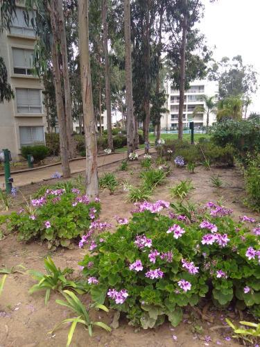 Apartamento Costa Algarrobo Norte
