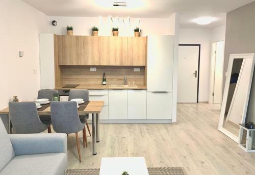 Elegant, Bright Spacious Apartment In Bratislava Center