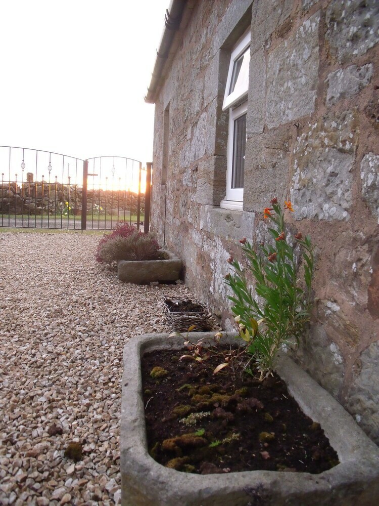 Bed & Breakfast Burnhead Farm