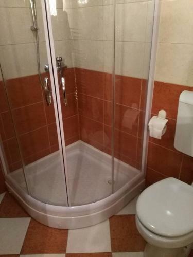 Hostal Apartmaji Pri Kokolu