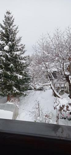 Apartments Kapus Center