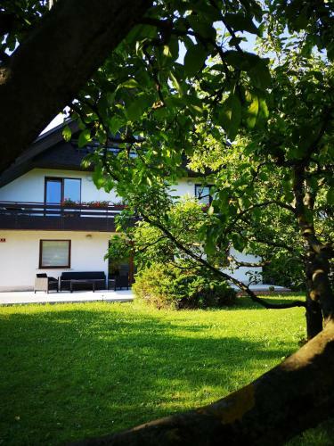 Jaka Apartments