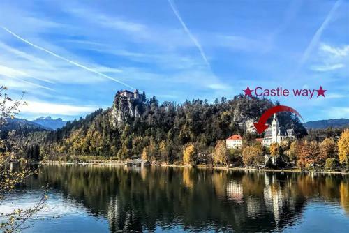 Castle Way Apartments Tamy
