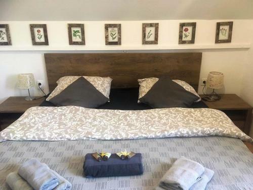 Terme ?ate? Apartma 7