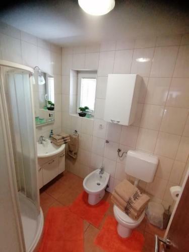 Apartma Ob Savi