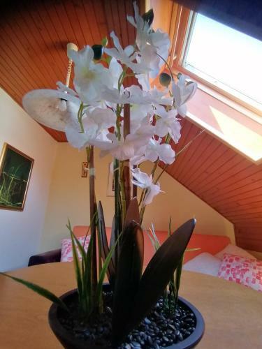 Apartma Ob Savi