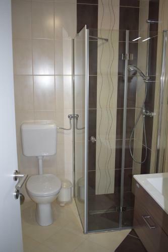 Apartamentos Borovnica ?ate?