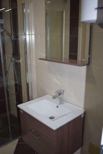 Apartamentos Borovnica ?ate?