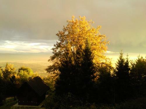 Cottage Above The Clouds
