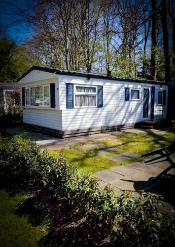 Chalet Verhuur Overijssel Webnode