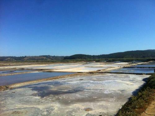 Agroturismo Caba�as Don Dago