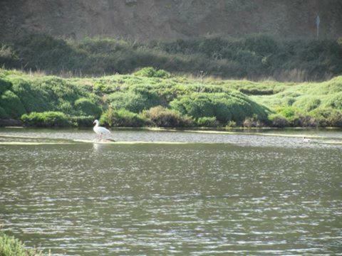 Agroturismo Caba�as Don Dago