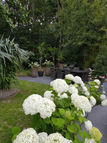 Bed & Breakfast Dishoek