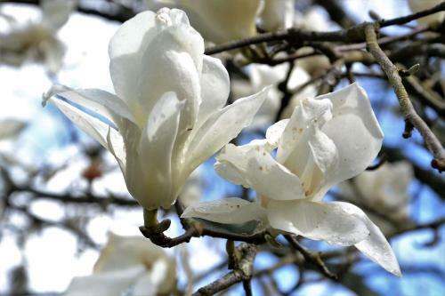 Bed & Breakfast Quinta D'av� Am�lia