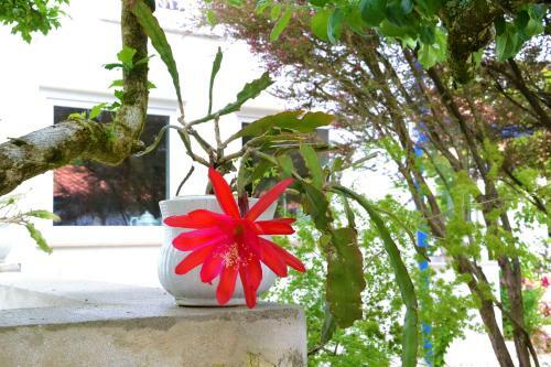 Bed & Breakfast Quinta D'av� Am�lia