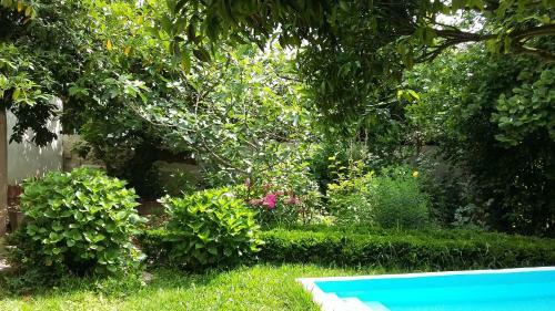 Bed & Breakfast Quinta D'av� Am�lia
