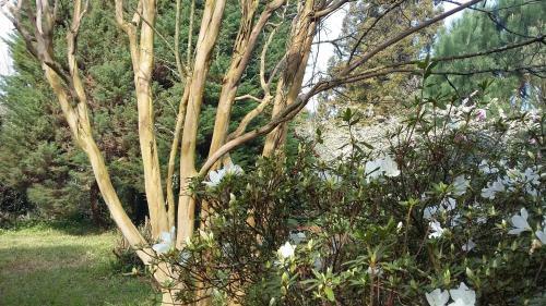 Bed & Breakfast Quinta D'av� Am�lia