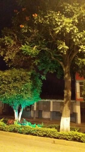 Hostal Hotel Dub�i