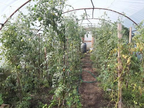 Agroturismo Zacisze U Rysia