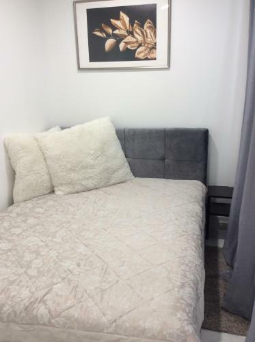 Vasaros Studio Apartamentai