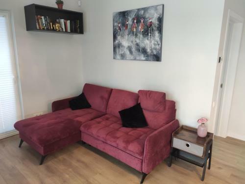 Kunigi?k?s Apartamentai Pilkos Lankos