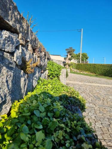 Casa Da Leira