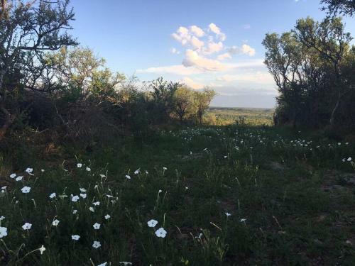 Hen�n- Casa De Campo- Traslasierra