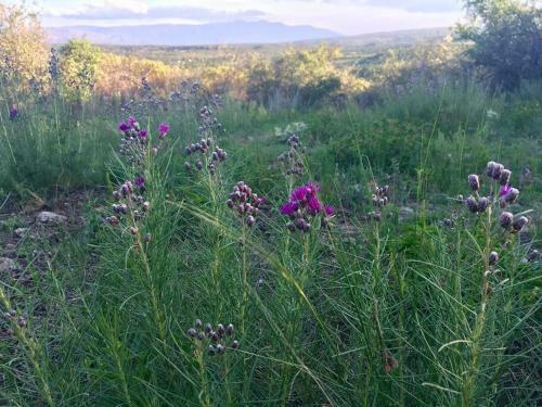 Hen�n- Casa De Campo- Traslasierra