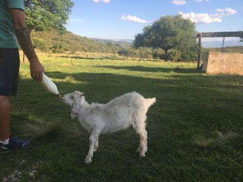 Hen�n- Casa De Campo- Traslasierra