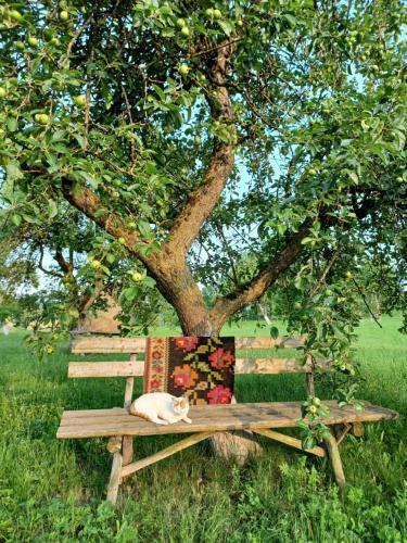 Hostal Pensiunea Agroturistica Casa Pribegilor