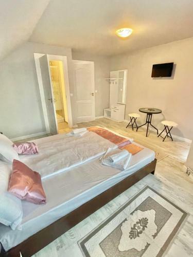 Hostal Pensiunea Drago? Vod? Breb