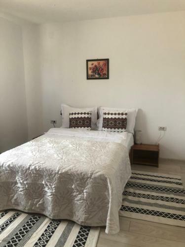 Hostal Pensiune Agroturistica Costiana