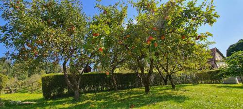 Holiday Home Na Vasi