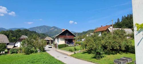 Holiday Home Na Vasi
