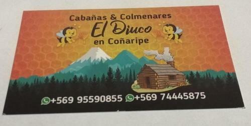 Caba�as El Diuco En Co�aripe 6