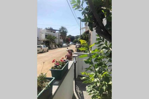 100 M To Beach, Entire Cozy Apartment With Patio