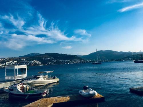 Ocean Front House Bodrum
