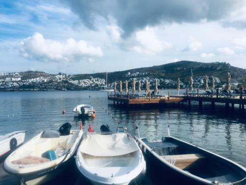 Ocean Front House Bodrum