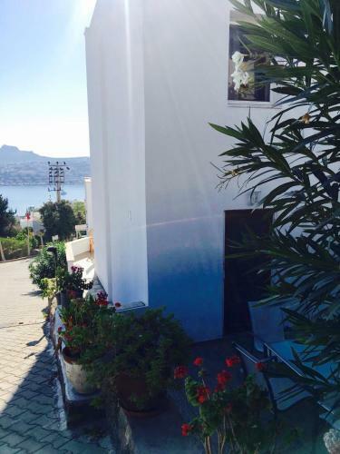 Ocean Front House Bodrum