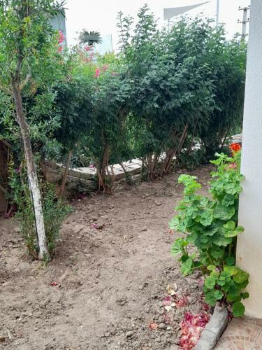 Apartamento Kale Manzaral? Yazl?k Ev